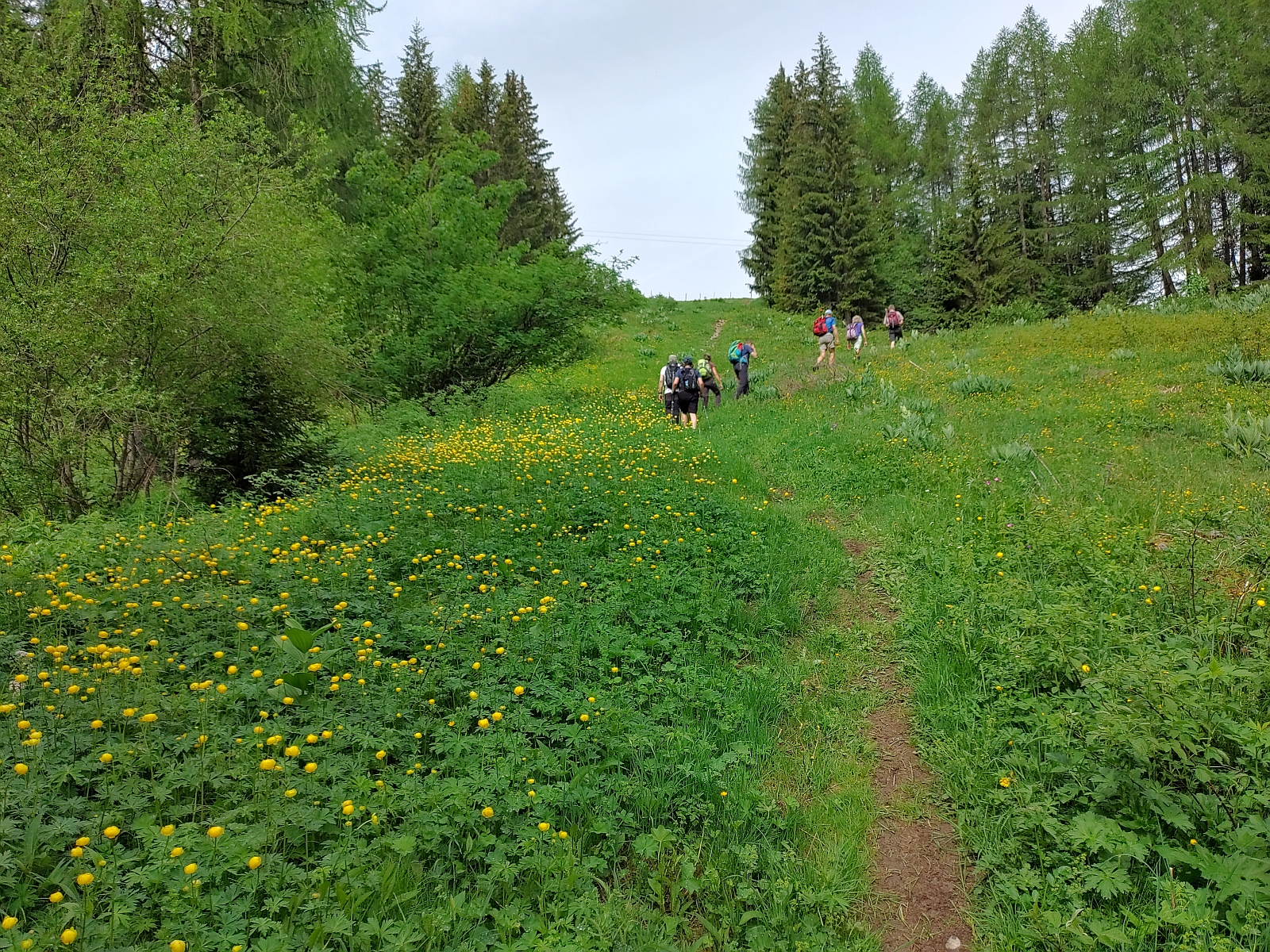 24_19. Juni 21_G Rocher du Midi (103).jpg